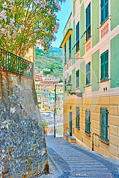 Picturesque italian street