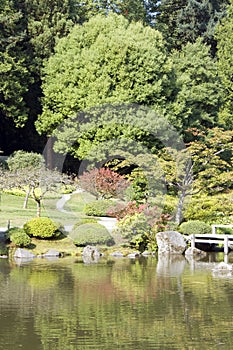 Picturesque Japanese garden