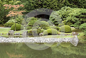 Picturesque Japanese garden with pond