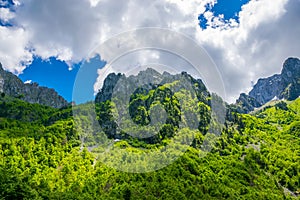 A picturesque journey along the roads of Montenegro among rocks and tunnels.