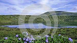 Picturesque lagoon and flowers