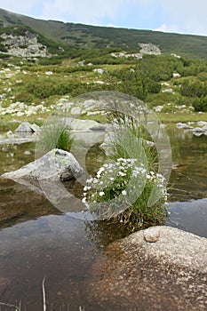 Picturesque lake