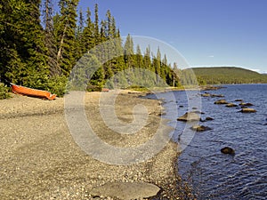 Picturesque lake and forest photo