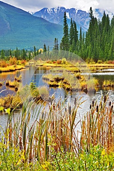 Picturesque lake with small islets photo