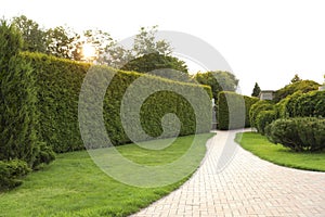 Picturesque landscape with brick path. Gardening idea