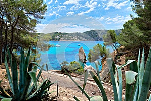 Picturesque landscape bright colors Cala en Cranc of Mallorca, Spain