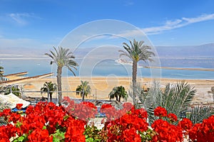 Picturesque landscape at the Dead Sea, Israel shore