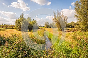 Picturesque landscape in the Dutch late summer season