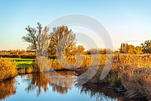 Picturesque landscape in Dutch National Park De Biesbosch