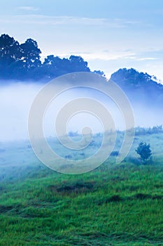 Picturesque landscape of grassland in the mist