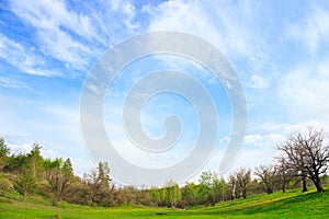 Picturesque landscape with green grass and cirrus clouds