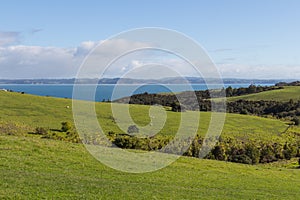 Picturesque landscape with green grass hills and blue sea on background, Shakespear Regional Park, New Zealand