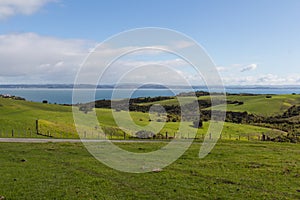 Picturesque landscape with green grass hills and blue sea on background, Shakespear Regional Park, New Zealand