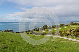 Picturesque landscape with green grass hills and blue sea on background, Shakespear Regional Park, New Zealand