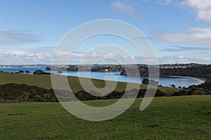 Picturesque landscape with green grass hills and blue sea on background, Shakespear Regional Park, New Zealand