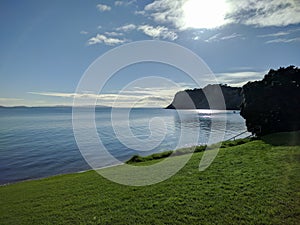 Picturesque landscape with green grass, tree, blue sea and sky, Army Bay, New Zealand