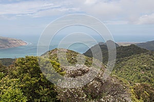 Picturesque landscape from mount Donald McLean lookout, Waitakere Ranges Regional Park, New Zealand