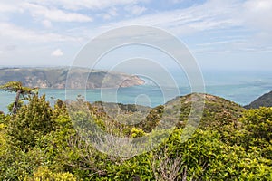 Picturesque landscape from mount Donald McLean lookout, Waitakere Ranges Regional Park, New Zealand