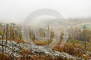 A picturesque landscape of a mountain valley in Lovchen National Park, Montenegro on an foggy day