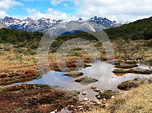 Picturesque landscape near Ushuaia, Tierra del Fuego, Argentina