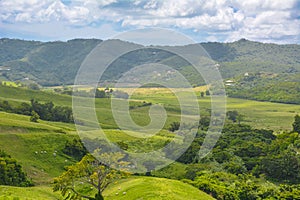 Picturesque landscape over peaceful green prairies and fields in Martinique