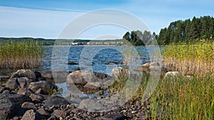 Picturesque landscape: rocky shore of Lake Onega and pine forest.