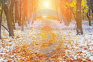 Picturesque landscape of the sun above the road. The path in the forest covered with the first snow. With blurred and bright sunli