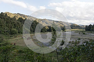 Picturesque landscape with Tauranga river in Matahi Valley, New Zealand