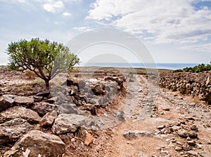 Picturesque landscape of Tenerife