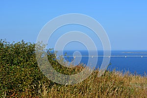 Picturesque landscape with trees, herbs and bridge over the river with blue water under blue sky