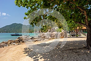 Picturesque landscape of tropical sandy Sairee beach and shade of tree and rocks