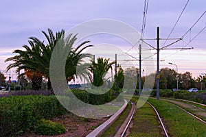 Picturesque landscape view of railroad in Glyfada. Scenic palm trees along the road