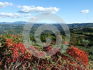 Picturesque landscapes and photogenic hills in the Istrian peninsula - Pazin, Croatia / Slikoviti pejzazi i fotogenicni brijegovi