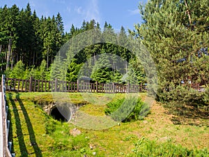Picturesque lawn in Bukovel