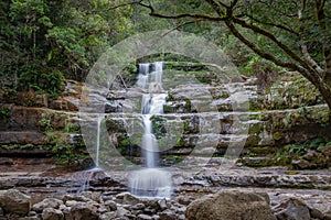 Picturesque Liffey Falls located in Tasmania, Australia