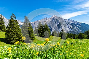 Picturesque meadows and forest are located amond the high mountains. Austria, Gnadenwald