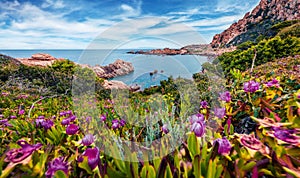 Picturesque morning view of popular tourist destination - Costa Paradiso, Sardinia island, Italy