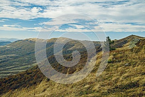 Picturesque mountain ridge wilderness highland environment with lonely tree on top and cloudy moody weather time of autumn season