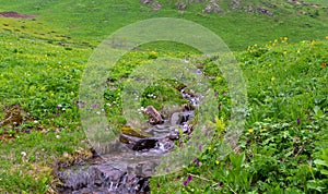 picturesque mountain stream