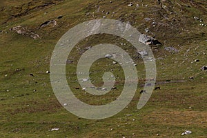 Picturesque mountainsides near the village of Ushguli in Svaneti. Georgia.