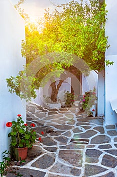 Picturesque Naousa town street on Paros island, Greece