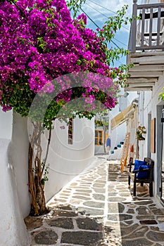 Picturesque Naousa town street on Paros island, Greece