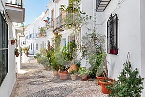 Picturesque narrow street decorated with plants