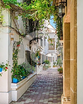 A picturesque and narrow street in Marbella old town, province of Malaga, Spain.