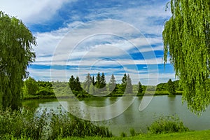 Picturesque nature scenic view of pond and green trees park outdoor scenic environment