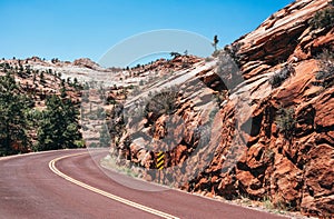 Road through the rocks of Zion National Park, USA