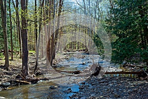 Picturesque Ohio creek in springtime