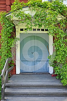 Picturesque old door