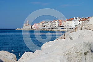 Picturesque old town Piran - Slovenia