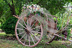Picturesque old wooden ancient cart decorated with flower for a wedding